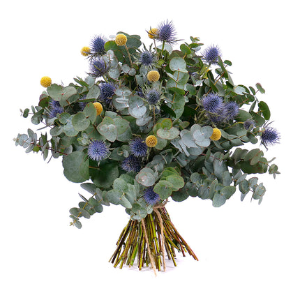 03001332_nature-kytica-eukalyptus-eryngium-a-craspedia