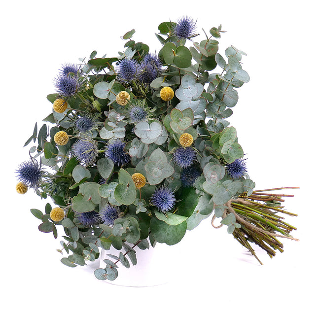 03001332_nature-kytica-eukalyptus-eryngium-a-craspedia