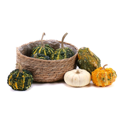 03001336_okrasne-tekvice-v-ratanovom-obale