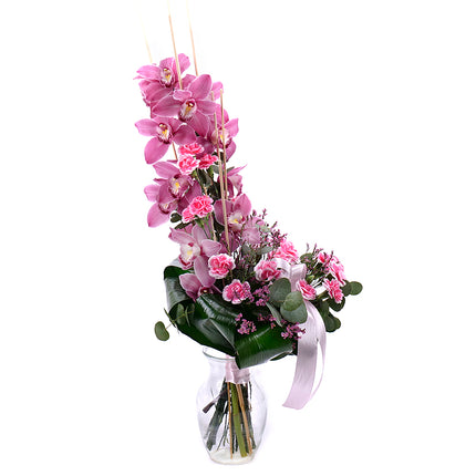 03001344_orchidea-ruzova-na-vysoko