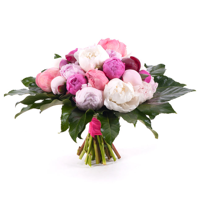 03001355_passion-farebne-pivonie