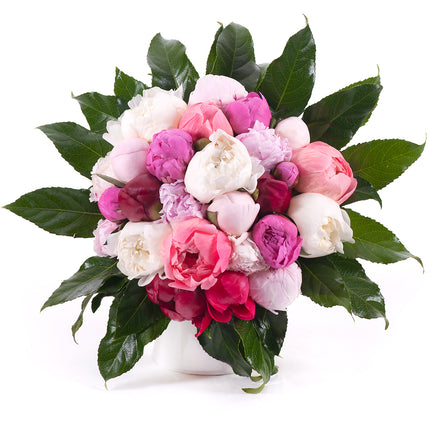 03001355_passion-farebne-pivonie