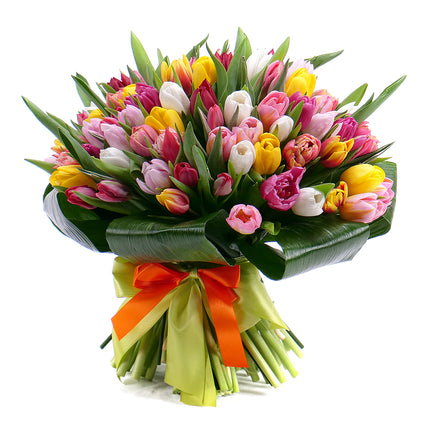 03001359_passion-farebne-tulipany