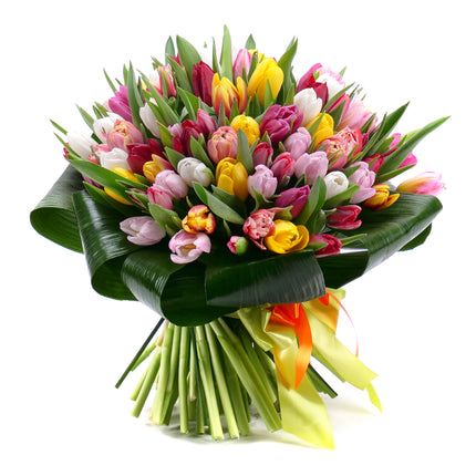 03001359_passion-farebne-tulipany