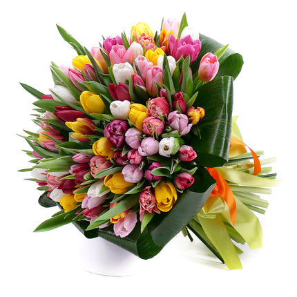 03001359_passion-farebne-tulipany