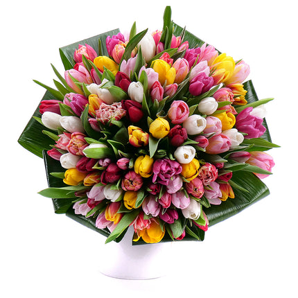 03001359_passion-farebne-tulipany