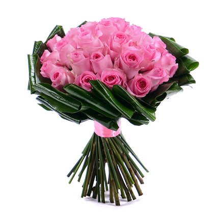 03001364_passion-ruzove-ruze
