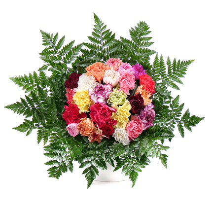 03001384_perla-farebne-karafiaty