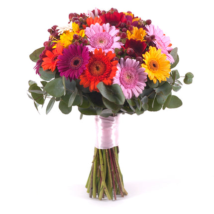 03001385_perla-farebne-mini-gerbery