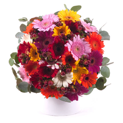 03001385_perla-farebne-mini-gerbery