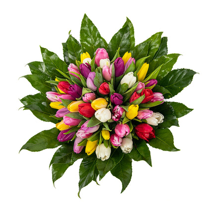 03001392_perla-farebne-tulipany