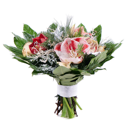 03001397_perla-farebny-amarylis