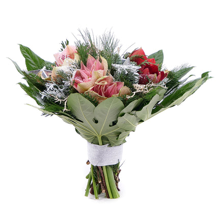 03001397_perla-farebny-amarylis