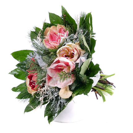 03001397_perla-farebny-amarylis