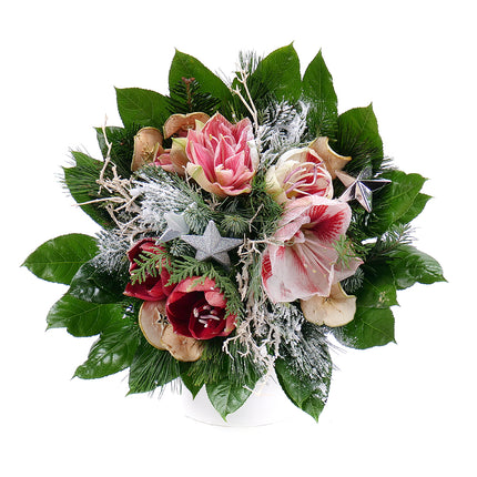 03001397_perla-farebny-amarylis