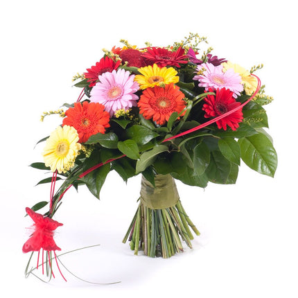 03001480_srdce-farebne-minigerbery