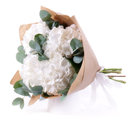 03001505_sweet-biele-hortenzie