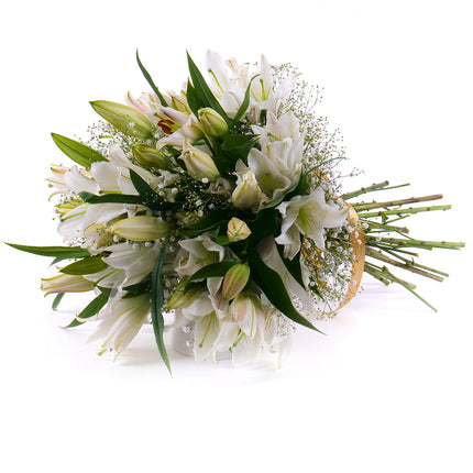 03001506_sweet-biele-lalie