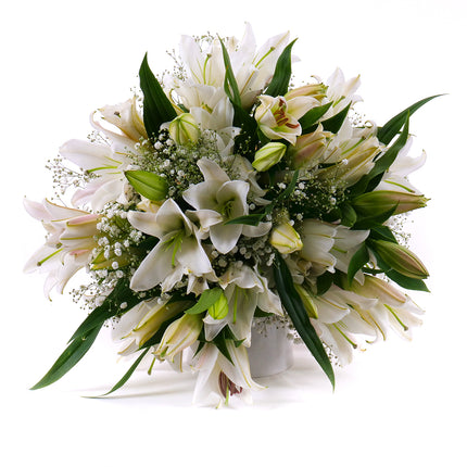 03001506_sweet-biele-lalie