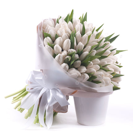 03001511_sweet-biele-tulipany-1