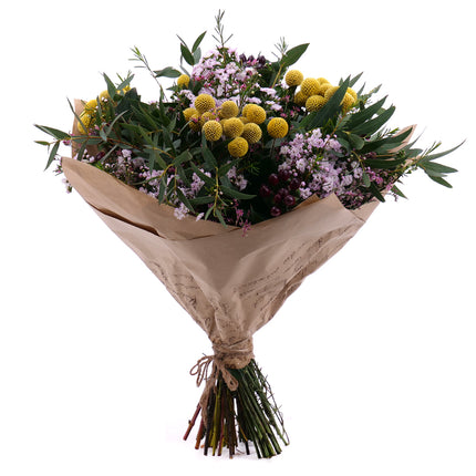 03001559_sweet-eucalyptus-craspedia