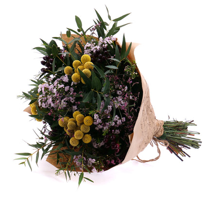 03001559_sweet-eucalyptus-craspedia