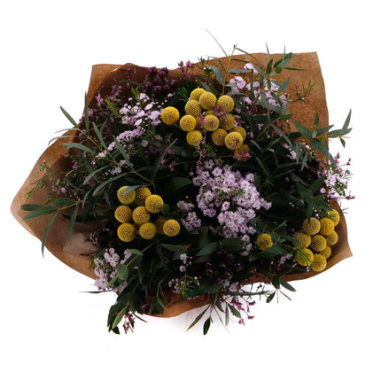 03001559_sweet-eucalyptus-craspedia