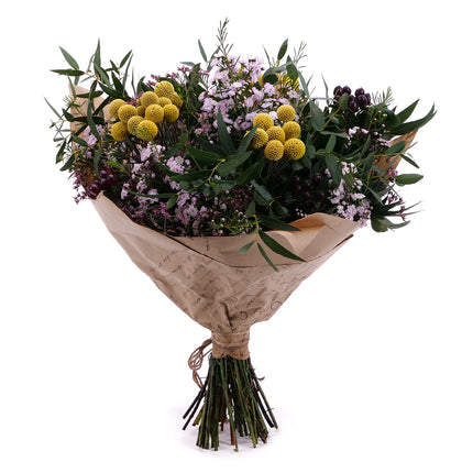 03001559_sweet-eucalyptus-craspedia