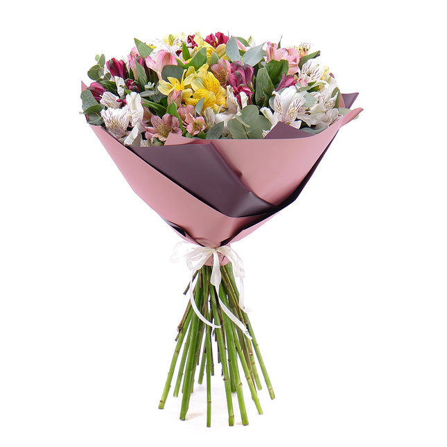 03001560_sweet-farebne-alstromerie