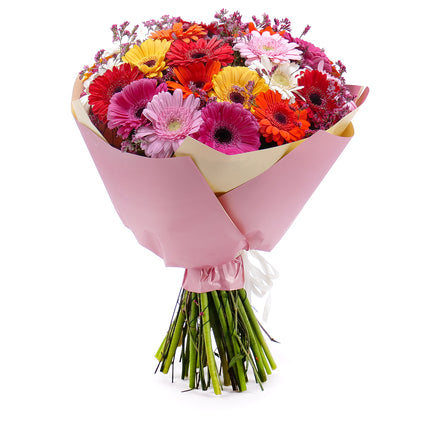 03001562_sweet-farebne-gerbery