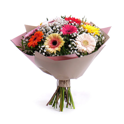 03001564_sweet-farebne-gerbery-s-gypsomilkou