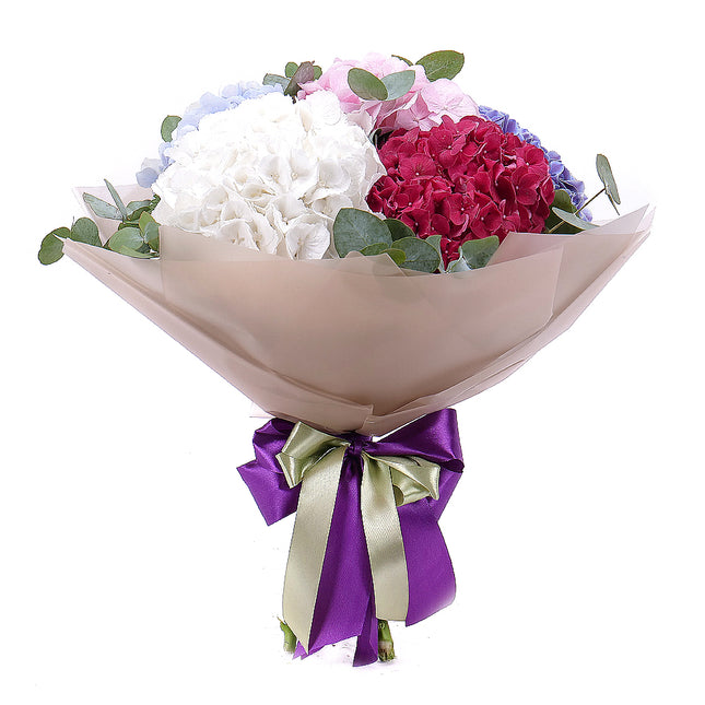 03001565_sweet-farebne-hortenzie