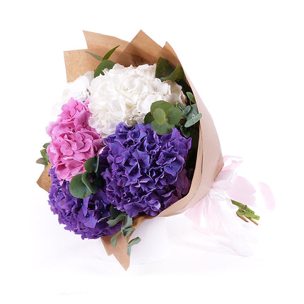 03001565_sweet-farebne-hortenzie