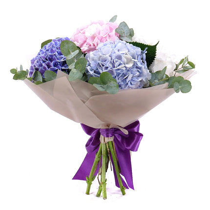 03001565_sweet-farebne-hortenzie