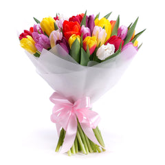 03001606_sweet-farebne-tulipany-pure
