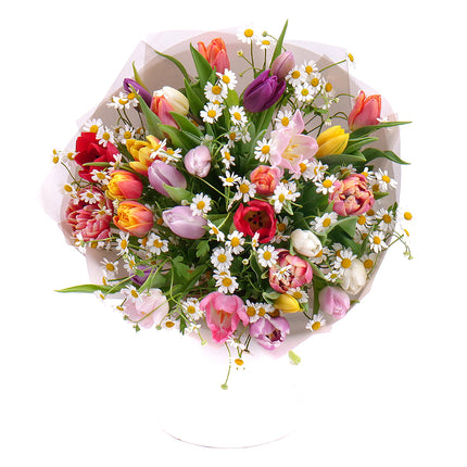 03001608_sweet-farebne-tulipany-s-kamilkami