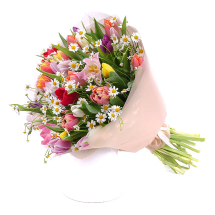 03001608_sweet-farebne-tulipany-s-kamilkami