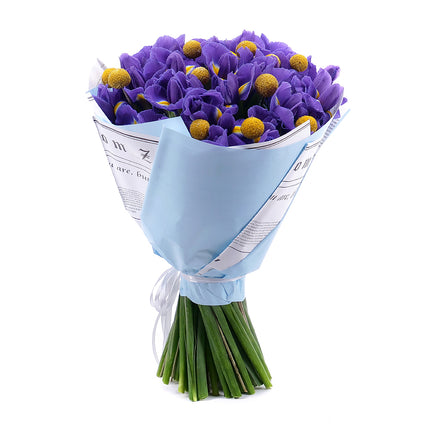 03001616_sweet-irisy-a-craspedia