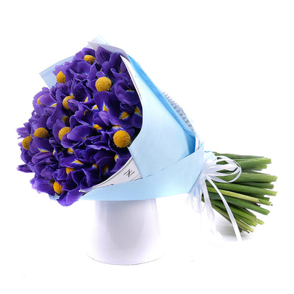 03001616_sweet-irisy-a-craspedia