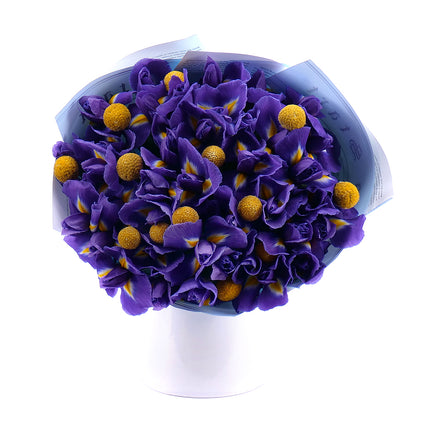 03001616_sweet-irisy-a-craspedia