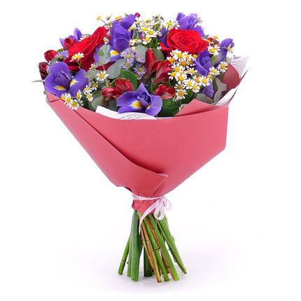 03001617_sweet-irisy-a-cervene-ruze