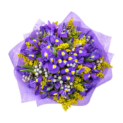 03001618_sweet-irisy-a-solidago