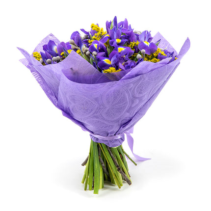 03001618_sweet-irisy-a-solidago