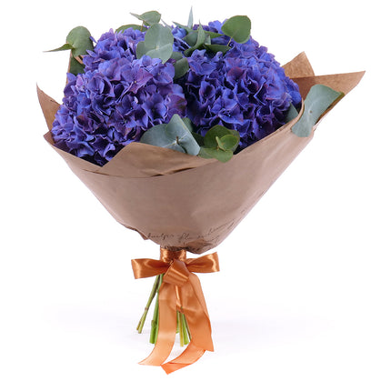 03001629_sweet-modre-hortenzie