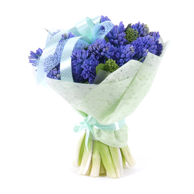 03001630_sweet-modre-hyacinty