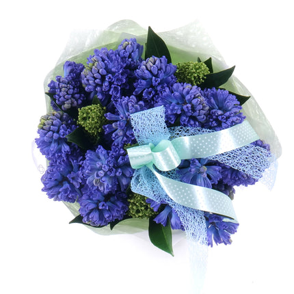 03001630_sweet-modre-hyacinty
