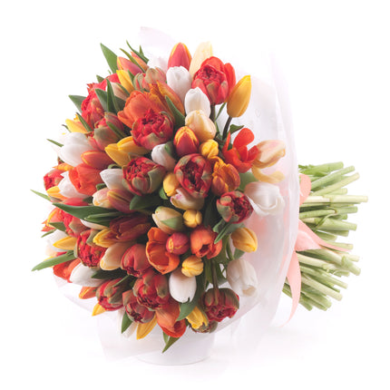 03001631_sweet-oranzove-a-biele-tulipany