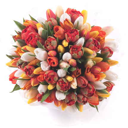 03001631_sweet-oranzove-a-biele-tulipany