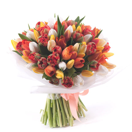 03001631_sweet-oranzove-a-biele-tulipany