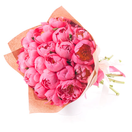 03001636_sweet-pivonie-coral-sunset